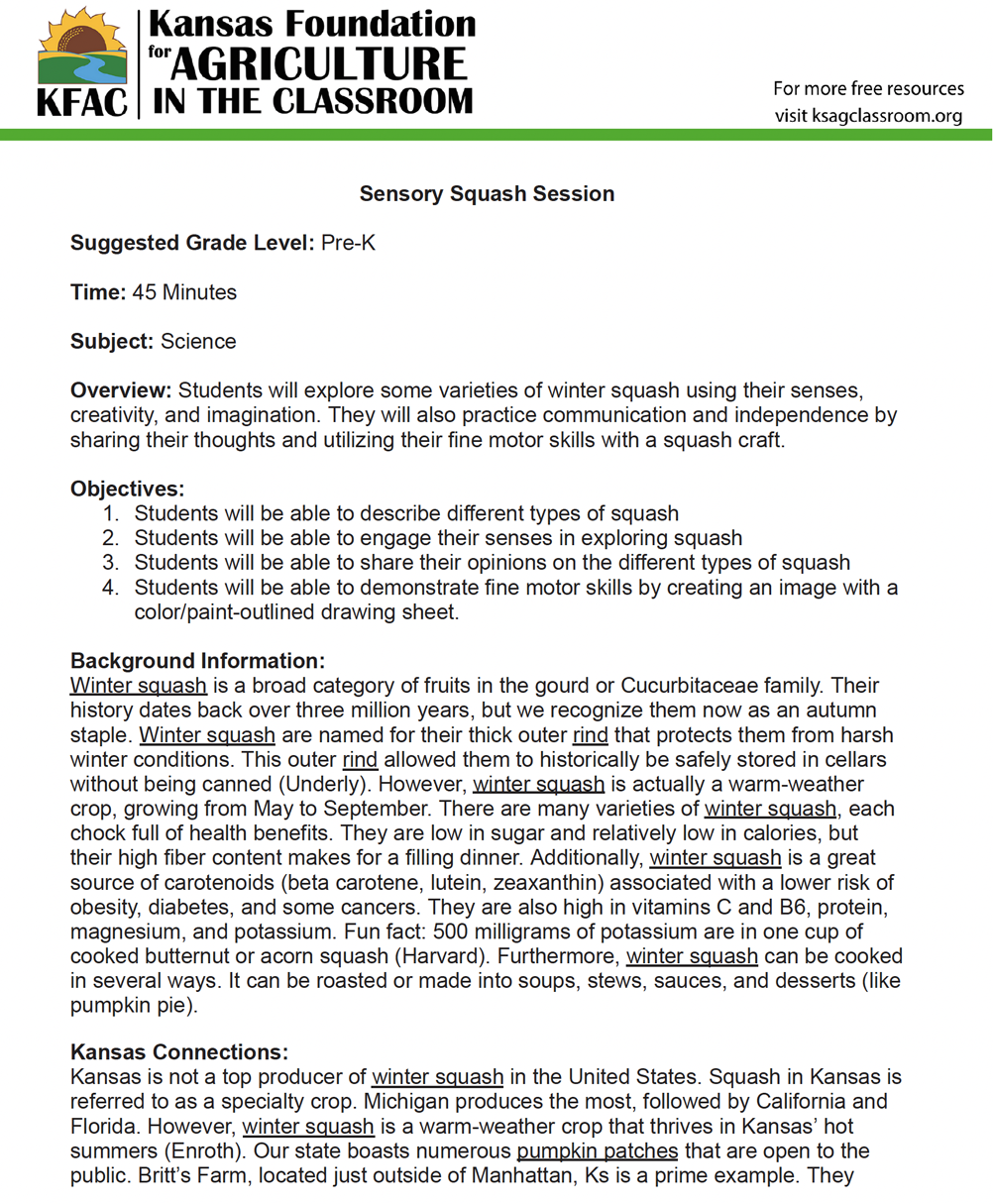 Image of Sensory Squash Session Lesson Plan