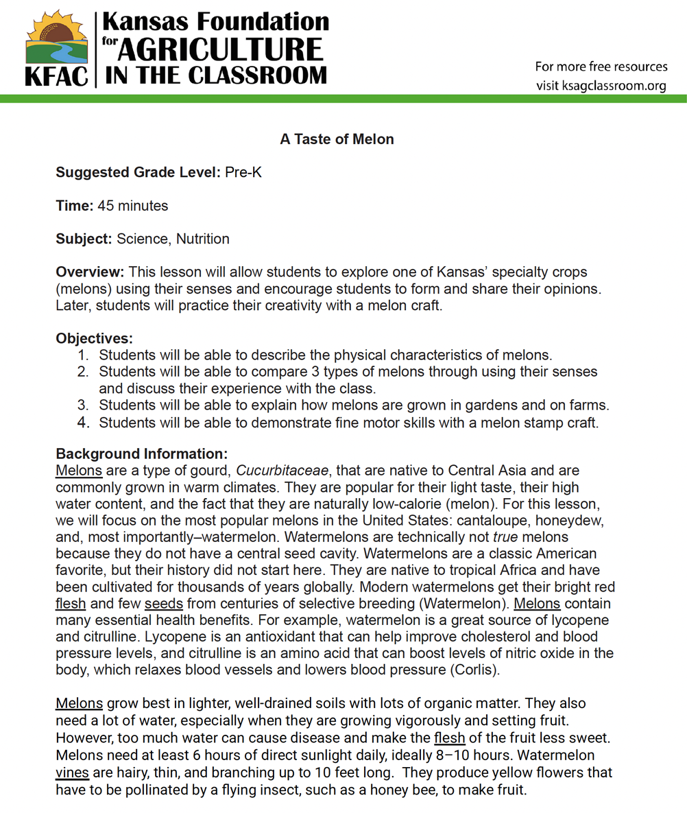 Image of Taste of Melon Lesson Plan