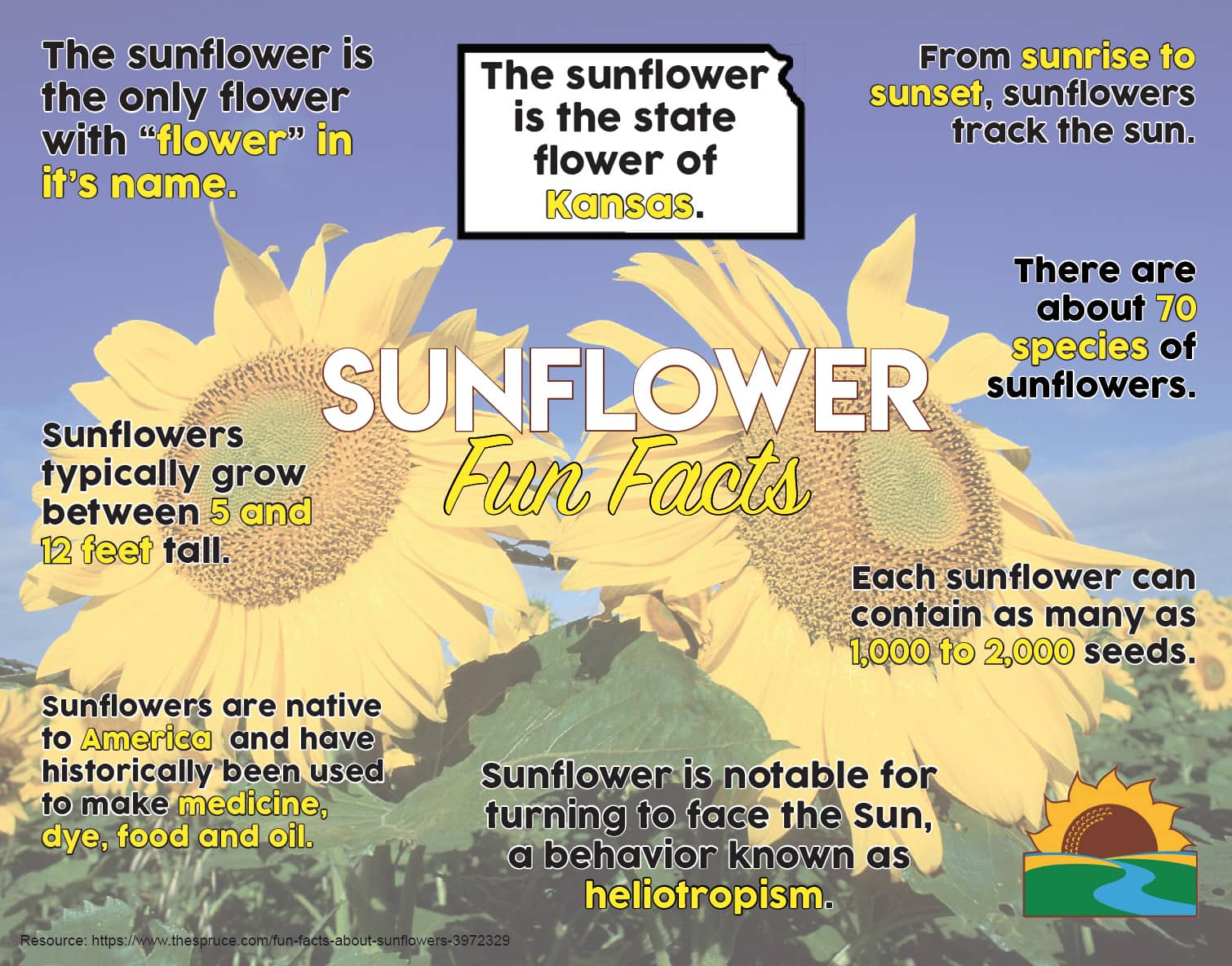 Sunflower Fun Facts Poster | Kansas Agriculture in the Classroom