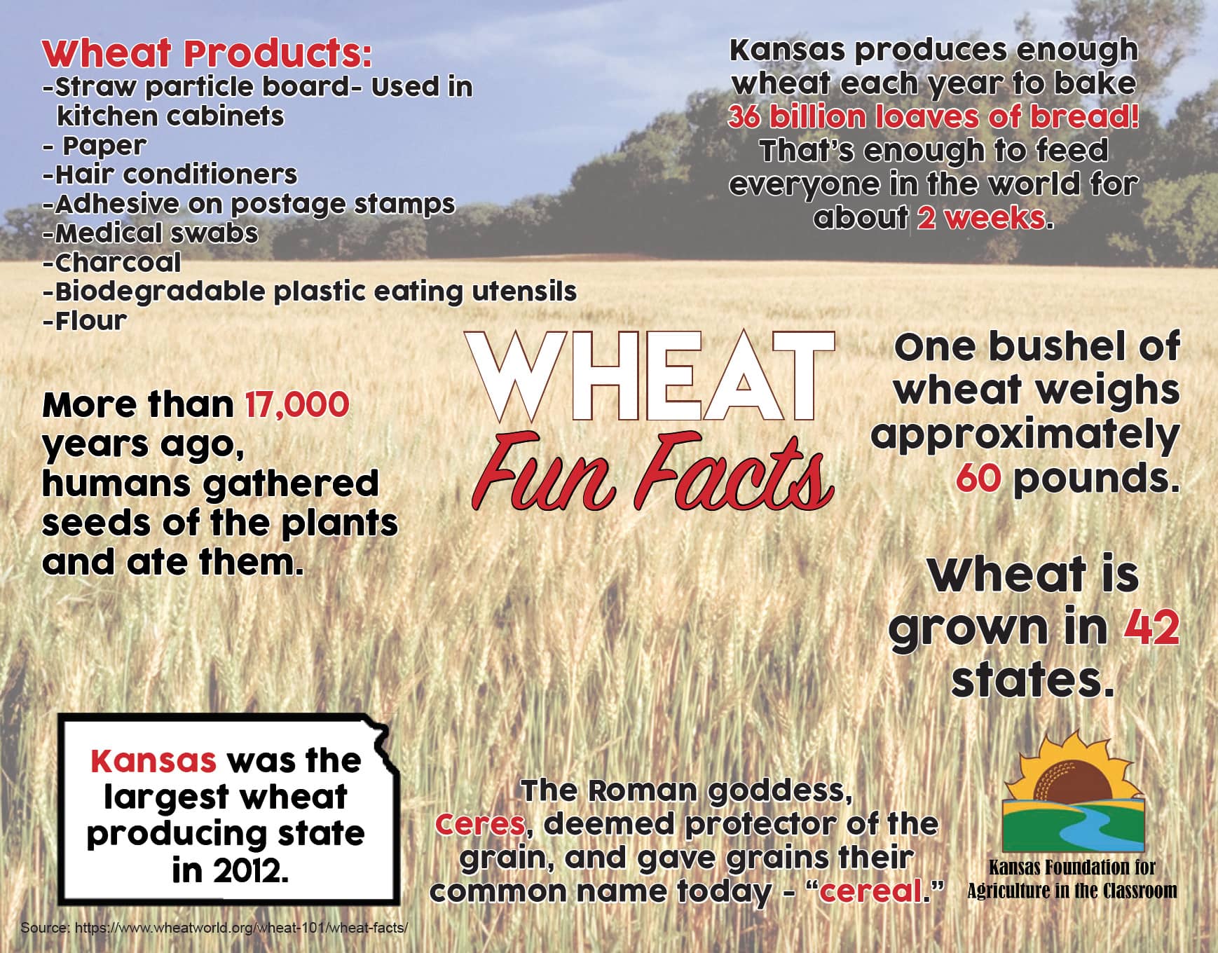 Wheat Fun Facts Poster Kansas Agriculture In The Classroom