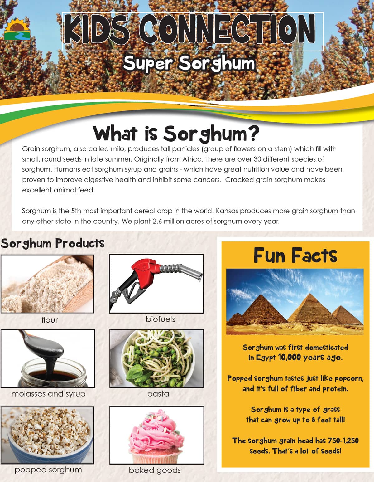 Sorghum Magazine